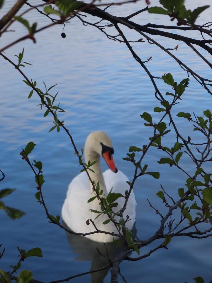 Refugium Am See 塞博登 外观 照片